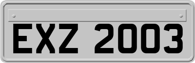 EXZ2003