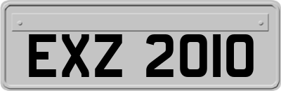 EXZ2010