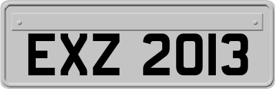 EXZ2013