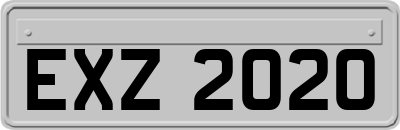 EXZ2020