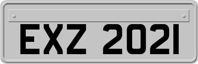 EXZ2021