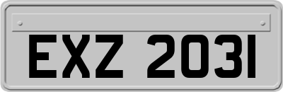 EXZ2031