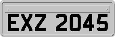 EXZ2045