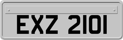 EXZ2101