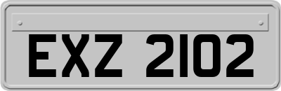 EXZ2102