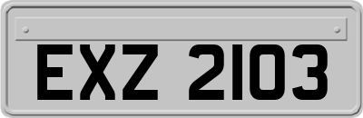 EXZ2103