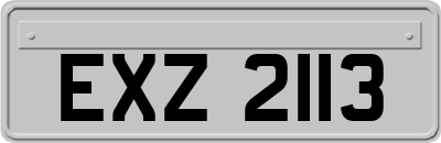 EXZ2113