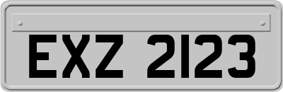 EXZ2123
