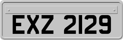 EXZ2129