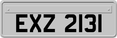 EXZ2131