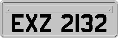 EXZ2132