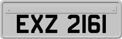 EXZ2161