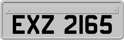 EXZ2165