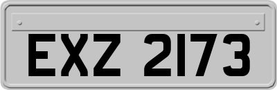 EXZ2173