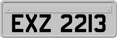 EXZ2213