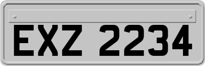 EXZ2234