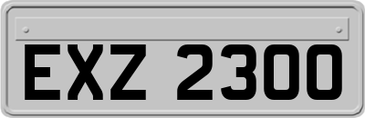 EXZ2300
