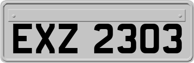 EXZ2303
