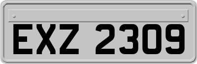 EXZ2309