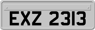 EXZ2313