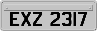 EXZ2317