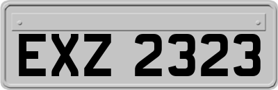 EXZ2323
