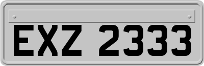 EXZ2333
