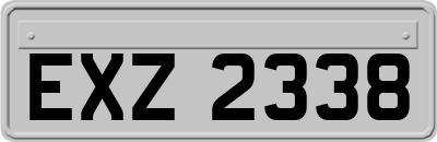 EXZ2338