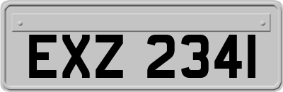 EXZ2341