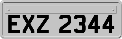 EXZ2344