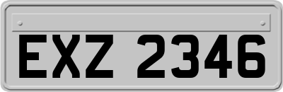 EXZ2346