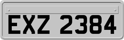 EXZ2384