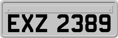 EXZ2389