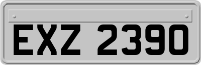 EXZ2390