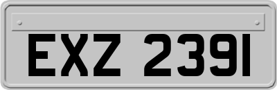 EXZ2391