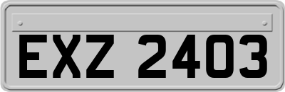 EXZ2403