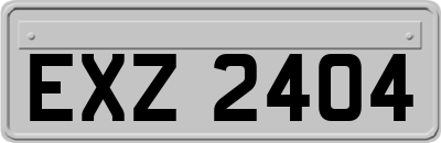 EXZ2404