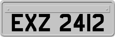 EXZ2412