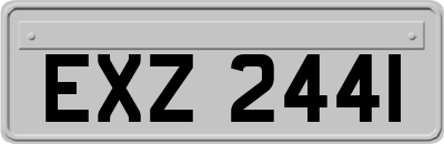 EXZ2441