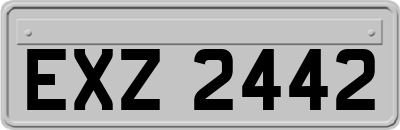 EXZ2442