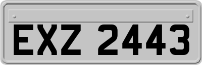 EXZ2443
