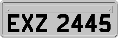 EXZ2445