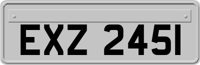 EXZ2451