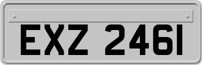 EXZ2461