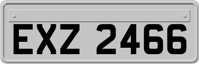 EXZ2466