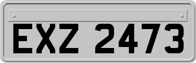 EXZ2473