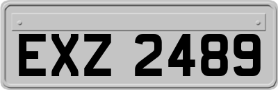 EXZ2489
