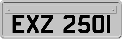 EXZ2501