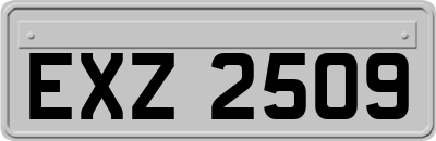 EXZ2509