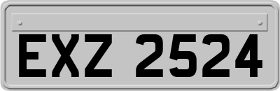 EXZ2524